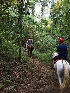 Horseback Riding to the waterfall through the tropical rainforest, South Pacific, Costa Rica photo